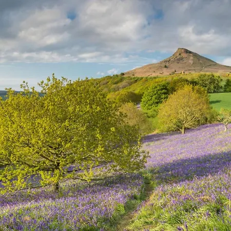 Picturesque Stone In The Heart Of North Yorkshire Village - Hideaway يورك