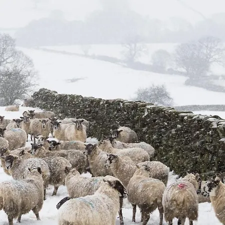 Picturesque Stone In The Heart Of North Yorkshire Village - Hideaway بيت للعطل *