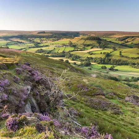 Picturesque Stone In The Heart Of North Yorkshire Village - Hideaway يورك