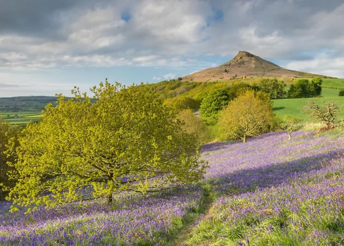 Picturesque Stone In The Heart Of North Yorkshire Village - Hideaway York