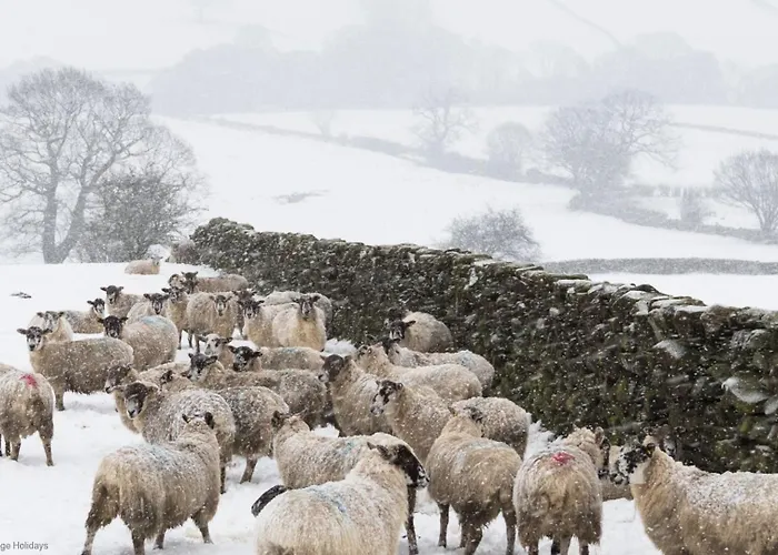 Picturesque Stone In The Heart Of North Yorkshire Village - Hideaway Ferienhaus *