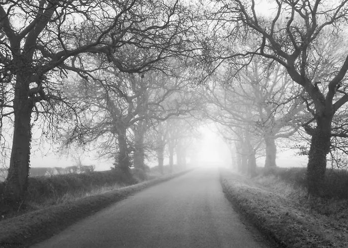 Ferienhaus Picturesque Stone In The Heart Of North Yorkshire Village - Hideaway
