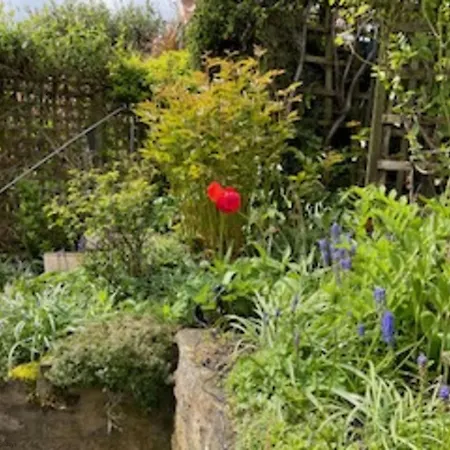 Holiday home Picturesque Stone In The Heart Of North Yorkshire Village - Hideaway